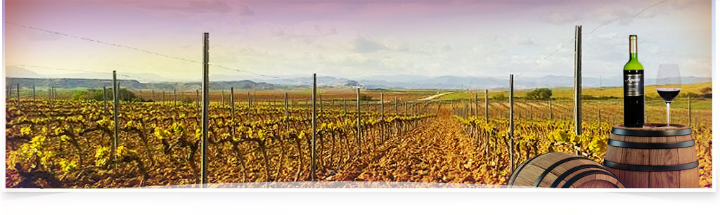 Viņedo de Bodegas Aguirre